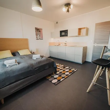 Beautiful New Studio, 400m From The Square * プルゼニ