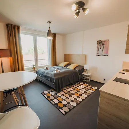 Beautiful New Studio, 400m From The Square Apartment Plzen