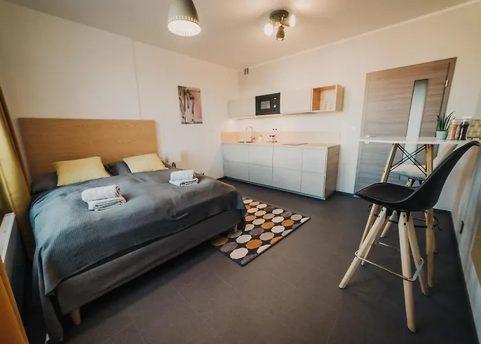 Beautiful New Studio, 400m From The Square * Пльзень