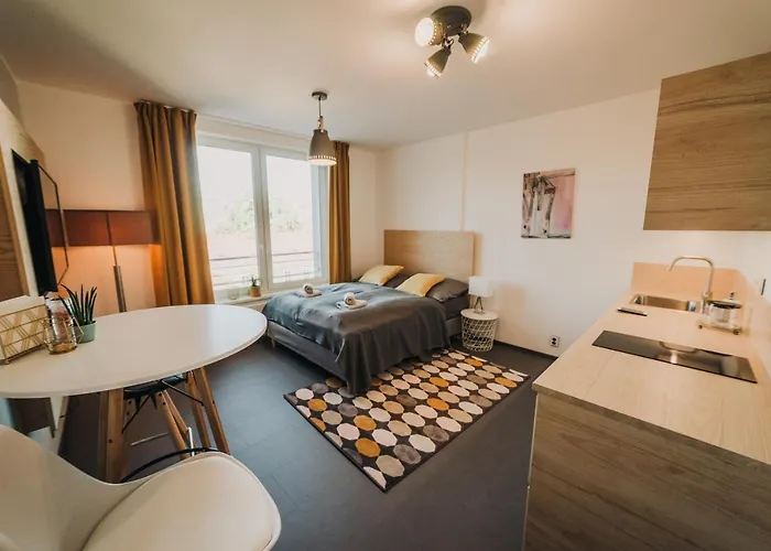 Beautiful New Studio, 400m From The Square Апартаменты Пльзень